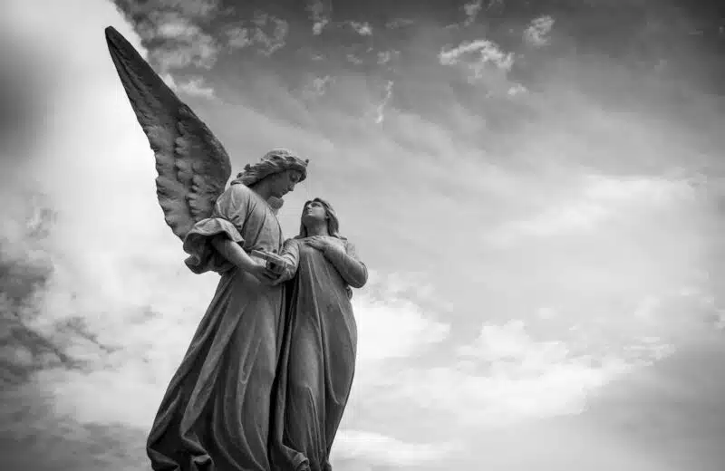 Les dispositifs juridiques pour combattre la maltraitance des personnes âgées